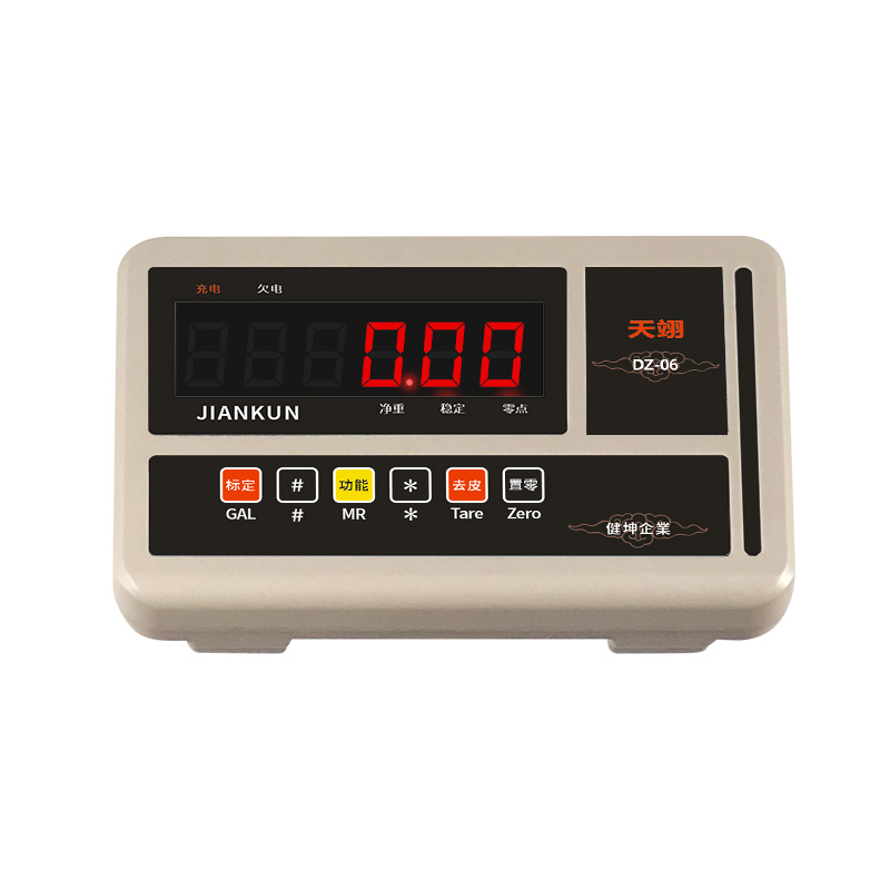 DZ-06智能计重仪表